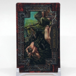 Rubeus Hagrid Harry Potter Chocolate Frog Card Japanese USJ Warner Bros h - Image 1