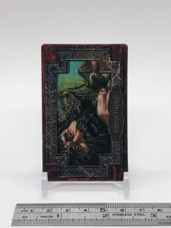 Rubeus Hagrid Harry Potter Chocolate Frog Card Japanese USJ Warner Bros h - Image 2