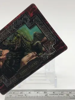 Rubeus Hagrid Harry Potter Chocolate Frog Card Japanese USJ Warner Bros h - Image 4