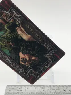 Rubeus Hagrid Harry Potter Chocolate Frog Card Japanese USJ Warner Bros h - Image 5
