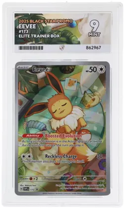 Pokemon TCG: Eevee - 173 - ETB Black Star Promo - ACE 9 Mint - Image 3