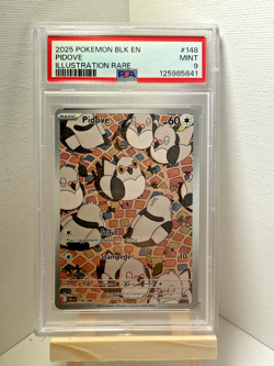 2025 POKEMON BLACK BOLT EN PIDOVE ILLUSTRATION RARE #148 MINT 💎 PSA 9 - Image 1