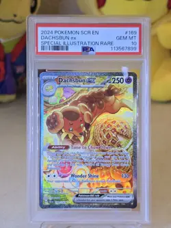 2024 Pokemon SCR EN Dachsbun EX Special Illustration Rare PSA 10 - Image 1