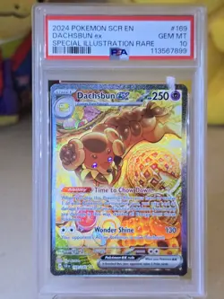 2024 Pokemon SCR EN Dachsbun EX Special Illustration Rare PSA 10 - Image 2