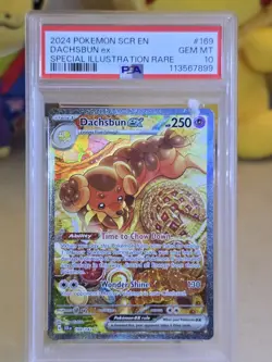2024 Pokemon SCR EN Dachsbun EX Special Illustration Rare PSA 10 - Image 3