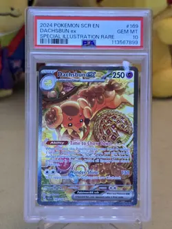 2024 Pokemon SCR EN Dachsbun EX Special Illustration Rare PSA 10 - Image 4
