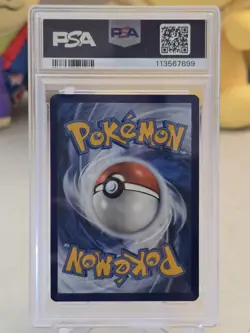 2024 Pokemon SCR EN Dachsbun EX Special Illustration Rare PSA 10 - Image 5