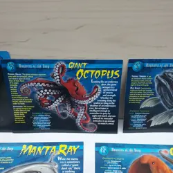 Lot of 12 Incomplete Weird and Wild Creatures Cards Monsters of the Deep Group 4 - Image 2