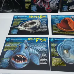 Lot of 12 Incomplete Weird and Wild Creatures Cards Monsters of the Deep Group 4 - Image 4