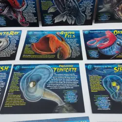 Lot of 12 Incomplete Weird and Wild Creatures Cards Monsters of the Deep Group 4 - Image 5