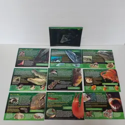 Lot of 24 Incomplete Weird and Wild Creatures Cards Nightmares of Nature Group 2 - Image 3