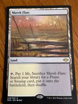 x2 Marsh Flats Modern Horizons 2 - Image 1