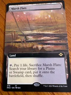 x2 Marsh Flats Modern Horizons 2 - Image 2