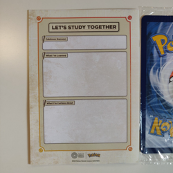 Pokemon x Natural History Museum Jumbo Pikachu Promo Card and Ecology Booklet - Image 5