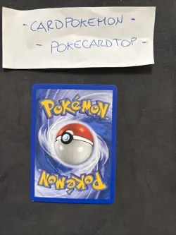 Pokemon Card Exeggcute 77/147-Eng-Holo Reverse-Nm/mint! - Image 4