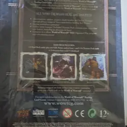 World of Warcraft TCG Naxxramas Special Edition Raid Deck - Image 2