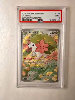 2025 POKEMON DRI EN-DESTINED RIVALS ILLUSTRATION RARE #185 SHAYMIN PSA 9 - Image 1