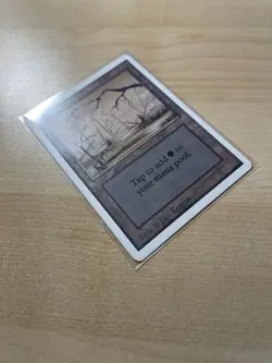 Swamp (B) Unlimited Edition Regular - Image 1