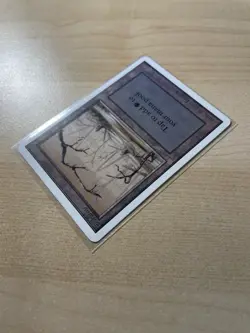 Swamp (B) Unlimited Edition Regular - Image 2