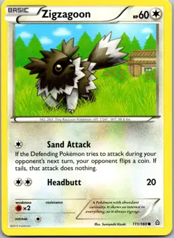 Zigzagoon 111/160 - XY - Primal Clash Pokemon Common LP - Image 1
