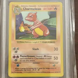 🔥Charmeleon #24 SHADOWLESS-1999 Pokemon PSA 8🔥 - Image 2