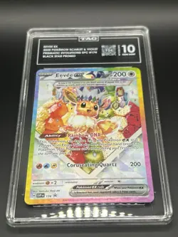 Pokemon 2025 Eevee EX Black Star Promo #174 TAG Graded 10 - Image 3