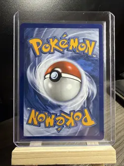 Squirtle 039 - Pokemon TCG - Mega Evolution Illustration Black Star Promo! - Image 2