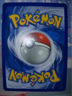 Squirtle 29/149 Common – BW: Boundaries Crossed (2012) – LP - Image 2