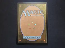 Sapling of Colfenor LP [Eventide] #1 Mtg Magic Free Tracking! - Image 2