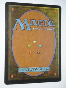 Revised Savannah LP (Very Lightly Played) MTG Magic the Gathering Dual Land - Image 2