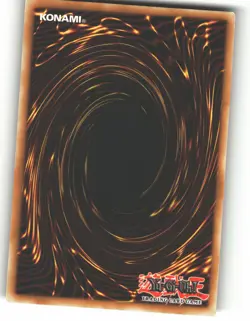 Curse of Dragon DB1-EN123 Common / Short Print Dark Beginning 1 Yu-Gi-Oh MP - Image 2