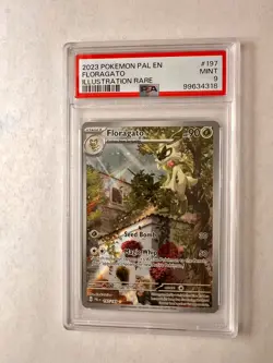 Pokemon Paldea Evolved #197 Floragato Illustration Rare PSA 9 - Image 1