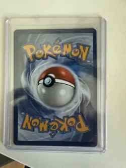 RAW Order Mega Zygarde ex 120/088 Pokemon TCG English. Fresh Perfect Order SIR - Image 2