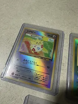 Pokemon Japanese Southern Island Beach Lot of 5 - Image 5