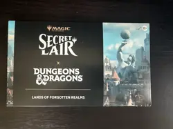 Lands Of Forgotten Realms MTG Secret Lair Nonfoil - Image 2