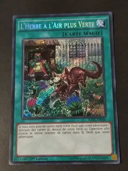Yu-Gi-Oh ! - L'Herbe a l'Air Plus Verte - RATE-FR066 - Secret Rare - Image 1