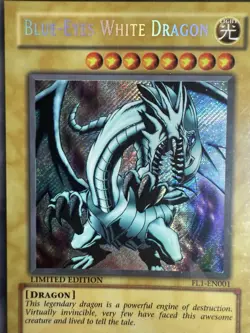 Yu-Gi-Oh Blue-Eyes White Dragon FL1-EN001 Secret Rare Limited Edition MP - Image 1