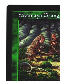 Magic The Gathering MTG Urza's Legacy ULG 1999 #118 Yavimaya Granger NM FOIL x2 - Image 2