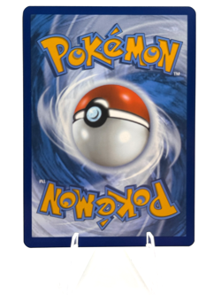 Pokemon N's Zorua Promo Scarlet & Violet Promo 189 - Image 4