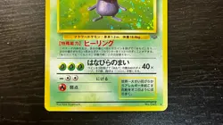 JAPANESE Pokemon JUNGLE SET Vileplume Holo Rare #045 MP - Image 3