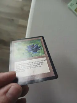 MTG Collectors Edition Black Lotus Damaged - Image 4
