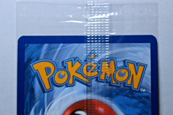 SEALED Pokemon Pawmot ex 073/197 Obsidian Flames Double Rare Holo Promo - Image 5