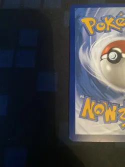 Pokemon Squirtle TCG Full Art Holo Rare Card Stellar Crown 148/142 - Image 3