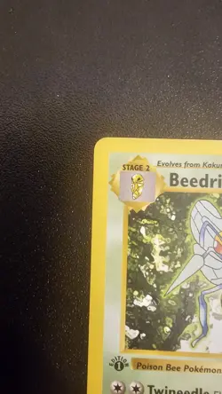 Pokemon Card - Beedrill Base Set Shadowless 17/102 1st Edition Rare - Image 2