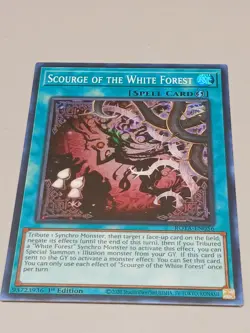 Scourge of the White Forest - ROTA-EN056 - NM - Super Rare - 1st ed - Yugioh - Image 2