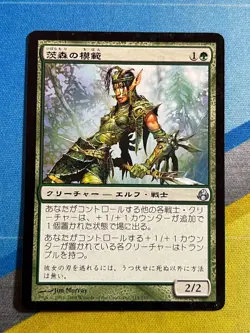 Magic the Gathering MTG Morningtide BRAMBLEWOOD PARAGON Japanese - Image 1