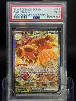 Pokemon Dachsbun ex 169/142 Stellar Crown Special Illustration Rare PSA 9 - Image 1