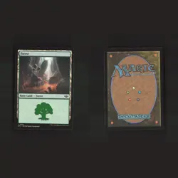 Outlaws of Thunder Junction Basic Lands Bundle Set 10 MTG Magic Cards Lot - Image 3