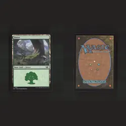 Outlaws of Thunder Junction Basic Lands Bundle Set 10 MTG Magic Cards Lot - Image 4