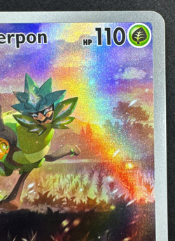 TEAL MASK OGERPON 123 NM SCARLET & VIOLET PROMO POKEMON 2024 - Image 3